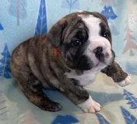 processed/7ab807b7-7a04-461c-a969-3d98cf541e1e/listing/90b3dfb2-f5df-4b45-9c18-321420f86665/845c1314-6dfa-40ab-ad65-be2f339ca79f