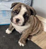 processed/7ab807b7-7a04-461c-a969-3d98cf541e1e/listing/90b3dfb2-f5df-4b45-9c18-321420f86665/b58e65d6-9ef8-47e1-9bd6-06a444441abd