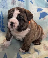 processed/7ab807b7-7a04-461c-a969-3d98cf541e1e/listing/90b3dfb2-f5df-4b45-9c18-321420f86665/db6bc4a6-c855-4b72-9e8a-105ae01dc2db