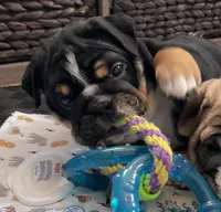 processed/7ab807b7-7a04-461c-a969-3d98cf541e1e/listing/cb070fbf-8b26-464d-97b2-adaf51b659ae/15bca0c9-de56-4163-9131-77afb6a4ee64