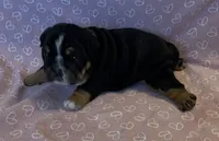 processed/7ab807b7-7a04-461c-a969-3d98cf541e1e/listing/cb070fbf-8b26-464d-97b2-adaf51b659ae/1e4698a1-9388-4d74-ae00-6cf0a959d5c9