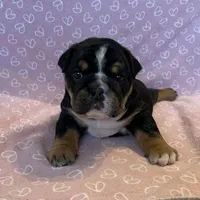 processed/7ab807b7-7a04-461c-a969-3d98cf541e1e/listing/cb070fbf-8b26-464d-97b2-adaf51b659ae/6f734da5-1a88-4ec3-a107-b232f60e9942