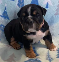 processed/7ab807b7-7a04-461c-a969-3d98cf541e1e/listing/cb070fbf-8b26-464d-97b2-adaf51b659ae/93546fa1-ae8c-4c60-ad2f-5873d59e2625