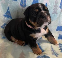 processed/7ab807b7-7a04-461c-a969-3d98cf541e1e/listing/cb070fbf-8b26-464d-97b2-adaf51b659ae/acce5d01-d354-42f1-8bf1-f9e1017dfa68