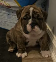 processed/7ab807b7-7a04-461c-a969-3d98cf541e1e/listing/f65ee7b2-534c-455d-8427-cd191d587dfa/007889cd-4516-4522-beb3-9d28089a410f