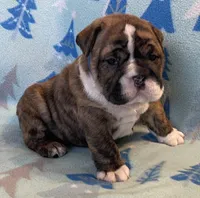 processed/7ab807b7-7a04-461c-a969-3d98cf541e1e/listing/f65ee7b2-534c-455d-8427-cd191d587dfa/21bf3ae0-bb92-48a8-880d-118ba875848a