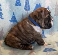 processed/7ab807b7-7a04-461c-a969-3d98cf541e1e/listing/f65ee7b2-534c-455d-8427-cd191d587dfa/56b5fd6b-f15f-40e3-973a-4000ae3d6a2a