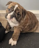 processed/7ab807b7-7a04-461c-a969-3d98cf541e1e/listing/f65ee7b2-534c-455d-8427-cd191d587dfa/83c19e13-9503-487c-b2ce-999b6d901ca1