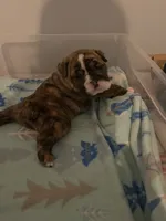 processed/7ab807b7-7a04-461c-a969-3d98cf541e1e/listing/f65ee7b2-534c-455d-8427-cd191d587dfa/c5f9cd35-1f3d-4b2c-9cd6-c13a52f9ebe8