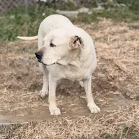 processed/7abbdf24-ea27-4355-9666-3f454f269d4a/listing/069822d6-92df-490d-b6f8-7e6e52fe2f5a/35c50512-f075-4f1f-8f65-7bd048894037