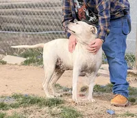 processed/7abbdf24-ea27-4355-9666-3f454f269d4a/listing/069822d6-92df-490d-b6f8-7e6e52fe2f5a/d40432e4-1fa2-45c6-a2c8-9a07778759fa