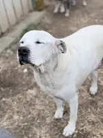 processed/7abbdf24-ea27-4355-9666-3f454f269d4a/listing/069822d6-92df-490d-b6f8-7e6e52fe2f5a/ee7e85bd-9ab2-4a8c-8188-2ad0b841543c