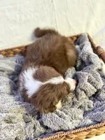 processed/7abbdf24-ea27-4355-9666-3f454f269d4a/listing/0ed37c94-c286-4a8d-b4a2-16556dc8f9ec/14fdf602-0f42-43cc-b19a-319cdd4ce70e