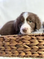 processed/7abbdf24-ea27-4355-9666-3f454f269d4a/listing/0ed37c94-c286-4a8d-b4a2-16556dc8f9ec/16d1f8d3-37d7-4982-8666-928bf2c2ba89