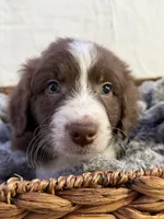 processed/7abbdf24-ea27-4355-9666-3f454f269d4a/listing/0ed37c94-c286-4a8d-b4a2-16556dc8f9ec/49537149-bfb4-4fb1-b395-1feba1497276