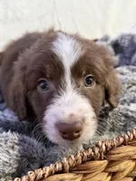 processed/7abbdf24-ea27-4355-9666-3f454f269d4a/listing/0ed37c94-c286-4a8d-b4a2-16556dc8f9ec/4bd6705f-9ed6-4142-8010-f9a858704a7c