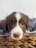 processed/7abbdf24-ea27-4355-9666-3f454f269d4a/listing/0ed37c94-c286-4a8d-b4a2-16556dc8f9ec/72435583-8e5b-494c-9ff9-efc0fae78429