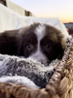 processed/7abbdf24-ea27-4355-9666-3f454f269d4a/listing/0ed37c94-c286-4a8d-b4a2-16556dc8f9ec/87f54401-5f38-4934-a01f-16ce5778be70