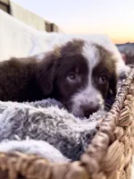 processed/7abbdf24-ea27-4355-9666-3f454f269d4a/listing/0ed37c94-c286-4a8d-b4a2-16556dc8f9ec/d8b72587-3068-4522-9f1c-542beabe064e