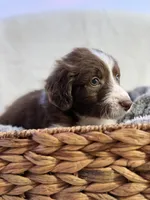 processed/7abbdf24-ea27-4355-9666-3f454f269d4a/listing/0ed37c94-c286-4a8d-b4a2-16556dc8f9ec/f6da013f-1a5c-43c3-b3df-843e22de2863