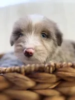 processed/7abbdf24-ea27-4355-9666-3f454f269d4a/listing/11fe0541-381f-4729-8f02-35a5a49d44e7/12e4be71-bf67-4aec-9551-52226761e2dd