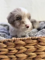 processed/7abbdf24-ea27-4355-9666-3f454f269d4a/listing/11fe0541-381f-4729-8f02-35a5a49d44e7/294a4eb9-2475-42ce-ae4c-33173b442db2