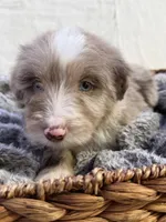 processed/7abbdf24-ea27-4355-9666-3f454f269d4a/listing/11fe0541-381f-4729-8f02-35a5a49d44e7/6e342553-293b-4675-baae-3cc26b2cc8a2