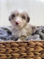 processed/7abbdf24-ea27-4355-9666-3f454f269d4a/listing/11fe0541-381f-4729-8f02-35a5a49d44e7/9f21d3cd-a837-4d11-b2b3-40d55b1fa5f3