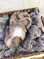 processed/7abbdf24-ea27-4355-9666-3f454f269d4a/listing/11fe0541-381f-4729-8f02-35a5a49d44e7/a1eee3f8-c122-41c6-824b-a6e5fc9118b2