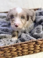 processed/7abbdf24-ea27-4355-9666-3f454f269d4a/listing/11fe0541-381f-4729-8f02-35a5a49d44e7/cada771e-8cc2-4e15-9197-2e25970cfb7f