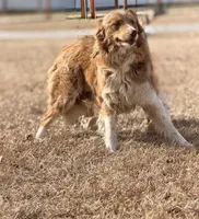 processed/7abbdf24-ea27-4355-9666-3f454f269d4a/listing/2be8107d-ccdf-4dd0-8908-c3860d94c649/0eff32cb-f611-4d4a-a61f-10a79c9ebd45