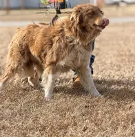 processed/7abbdf24-ea27-4355-9666-3f454f269d4a/listing/2be8107d-ccdf-4dd0-8908-c3860d94c649/2ef0c98d-4297-4118-914f-8d913be61545