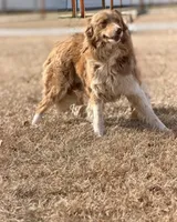 processed/7abbdf24-ea27-4355-9666-3f454f269d4a/listing/2be8107d-ccdf-4dd0-8908-c3860d94c649/d14d057e-efbf-492a-bc34-9aafa24f97e0