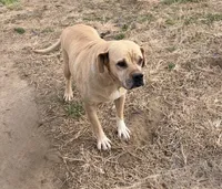 processed/7abbdf24-ea27-4355-9666-3f454f269d4a/listing/3ee253c2-83c9-4f9f-8773-8cb9fa50a65f/687540e0-bcea-4ca6-baa0-2798a94f7de0