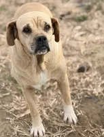 processed/7abbdf24-ea27-4355-9666-3f454f269d4a/listing/3ee253c2-83c9-4f9f-8773-8cb9fa50a65f/ae3e96d8-2e76-4dc3-8977-5be9627aff40