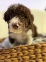 processed/7abbdf24-ea27-4355-9666-3f454f269d4a/listing/405ed72c-39fe-44fb-8c20-6b64b2dc16ee/53e018f5-1d70-4f28-bdb1-b74de78ffceb