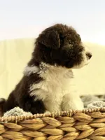 processed/7abbdf24-ea27-4355-9666-3f454f269d4a/listing/405ed72c-39fe-44fb-8c20-6b64b2dc16ee/74119fb2-fcc7-467b-95f0-9561b5e403cb