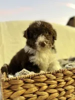 processed/7abbdf24-ea27-4355-9666-3f454f269d4a/listing/405ed72c-39fe-44fb-8c20-6b64b2dc16ee/7b11531e-d1ff-4485-b5ab-bc3855331d00