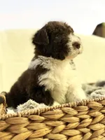 processed/7abbdf24-ea27-4355-9666-3f454f269d4a/listing/405ed72c-39fe-44fb-8c20-6b64b2dc16ee/a250e653-d343-4762-a372-32d7531006e8