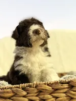 processed/7abbdf24-ea27-4355-9666-3f454f269d4a/listing/405ed72c-39fe-44fb-8c20-6b64b2dc16ee/af548c9f-6910-454a-8767-afc386b076bc