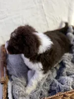 processed/7abbdf24-ea27-4355-9666-3f454f269d4a/listing/405ed72c-39fe-44fb-8c20-6b64b2dc16ee/b789363a-38e7-4a3f-a3a0-92157d37697e