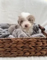 processed/7abbdf24-ea27-4355-9666-3f454f269d4a/listing/5c433489-80fd-484f-ad5a-5cf205c00411/20e5e2a1-5162-4d28-aab3-ac503d77ae52