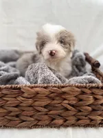 processed/7abbdf24-ea27-4355-9666-3f454f269d4a/listing/5c433489-80fd-484f-ad5a-5cf205c00411/967a40f6-fa31-45b1-b943-a059921059ef