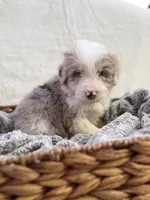 processed/7abbdf24-ea27-4355-9666-3f454f269d4a/listing/5c433489-80fd-484f-ad5a-5cf205c00411/b7d2a422-1e59-4797-8779-85c70ac6df09