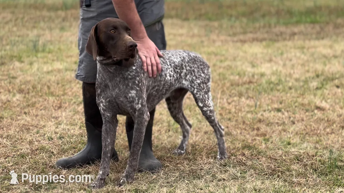 processed/7abbdf24-ea27-4355-9666-3f454f269d4a/listing/61ad2ad5-6114-4234-b3c2-bb3366830e57/7cd59a58-5736-4b50-945b-dff77a3c4301