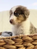 processed/7abbdf24-ea27-4355-9666-3f454f269d4a/listing/7b3dc60c-582a-4dae-a6c5-1ba5fe6bfefa/626006ce-4737-4f0f-8db0-704eb59a257f