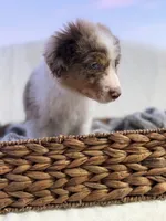 processed/7abbdf24-ea27-4355-9666-3f454f269d4a/listing/7b3dc60c-582a-4dae-a6c5-1ba5fe6bfefa/a7353ff7-b64b-4cea-b092-f64294750bf8