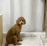 processed/7abbdf24-ea27-4355-9666-3f454f269d4a/listing/7b3dc60c-582a-4dae-a6c5-1ba5fe6bfefa/a890f576-152c-40b7-b6fd-1c8196bc3356