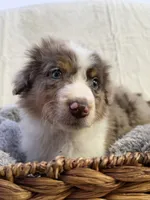 processed/7abbdf24-ea27-4355-9666-3f454f269d4a/listing/7b3dc60c-582a-4dae-a6c5-1ba5fe6bfefa/aed40f35-3c7f-434c-977e-fc2d5e5e5d9a