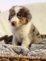 processed/7abbdf24-ea27-4355-9666-3f454f269d4a/listing/7b3dc60c-582a-4dae-a6c5-1ba5fe6bfefa/ddee44aa-bf29-43cd-ac96-6f45d6f1ecdb